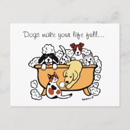 Cartão Postal Happy Bath Time Yellow Labrador Cartoon