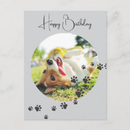 Cartão Postal Happy Birthday from Your Furry Friend 2 Photos  