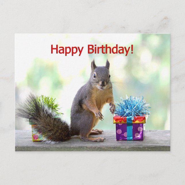 Cartão Postal Happy Birthday Squirrel (Frente)