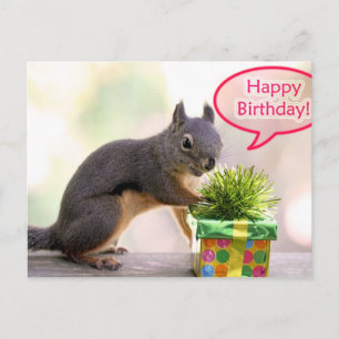 Cartão Postal Happy Birthday Squirrel