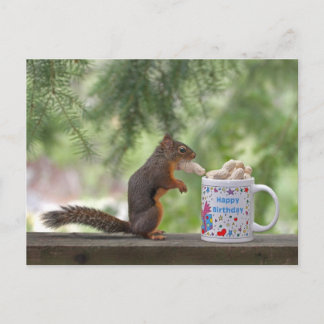 Cartão Postal Happy Birthday Squirrel