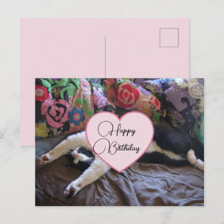 Cartão Postal Happy Birthday Tuxedo Cat Cats Postcard