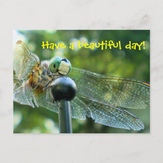 Cartão Postal Happy Dragonfly