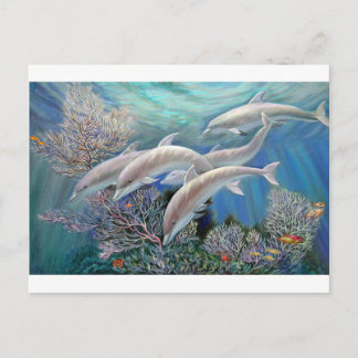Cartão Postal Happy_Family_-_Dolphins_Are_Awesome.JPG
