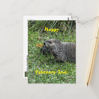 Cartão Postal Happy February 2nd Custom Groundhog Postcards