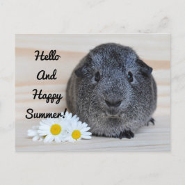 Cartão Postal Happy Summer Guiné Pig