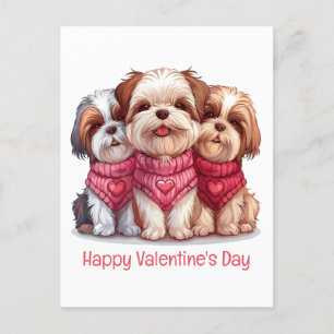 Cartão Postal Happy Valentines Day Shih Tzu Dogs