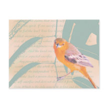 HARBINGER DE PRIMAVERA