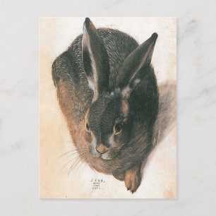 Cartão Postal Hare por Albrecht Durer