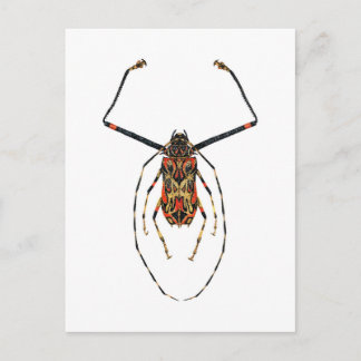 Cartão Postal Harlequin Beetle