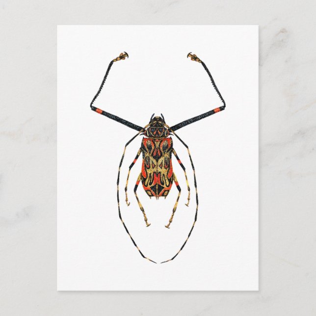 Cartão Postal Harlequin Beetle (Frente)
