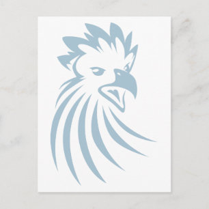 Cartão Postal Harpy Eagle