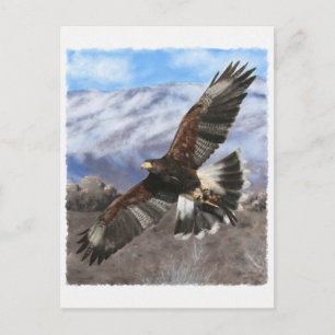 Cartão Postal Harris Hawk - pastel