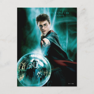 Cartão Postal Harry Potter e Voldemort Só Um Pode Sobreviver