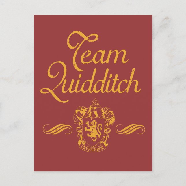 Cartão Postal Harry Potter | Equipe QUIDDITCH™ (Frente)