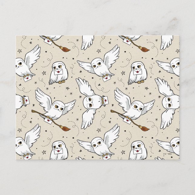 Cartão Postal Harry Potter | Padrão da Hedwig (Frente)