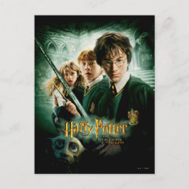 Cartão Postal Harry Potter Ron Hermione Dobby Group Shot
