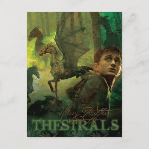 Cartão Postal Harry Potter Thestrals