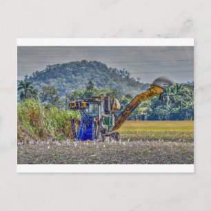 CARTÃO POSTAL HARVESTOR DA CANA-DE-AÇÚCAR QUEENSLAND AUSTRÁLI