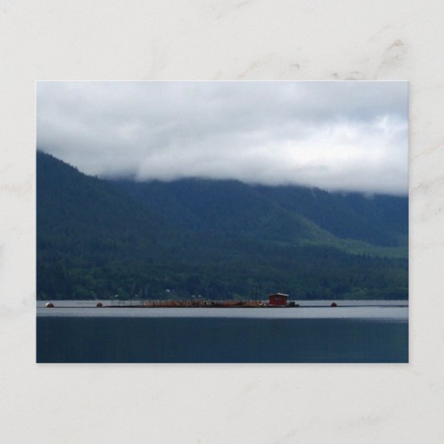 Cartão Postal Hatchery (Frente)