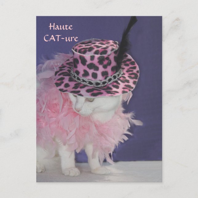 Cartão Postal Haute CAT-ure (Frente)