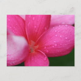 Cartão Postal Havaí