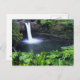 Cartão Postal Havaí, Ilha Grande, Hilo, Rainbow Falls, Lush (Frente/Verso)