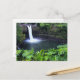 Cartão Postal Havaí, Ilha Grande, Hilo, Rainbow Falls, Lush (Frente/Verso In Situ)