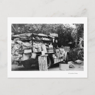 Cartão Postal Havaí - Vista de um Vagão Vegetal Nativo