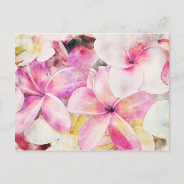 Cartão Postal Havaiana Plumeria Tropical Floral Watercolor (Frente)