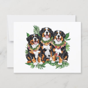 Cartão Postal Havaiano Bernese Mountain Dogs Flower Lei