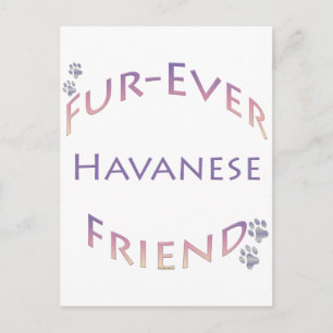 Cartão Postal Havanese Fuore