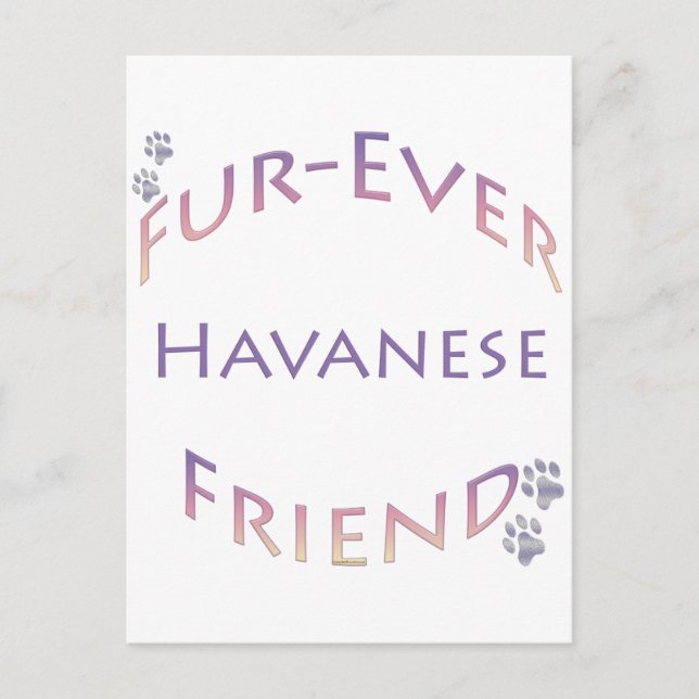 Cartão Postal Havanese Fuore (Frente)