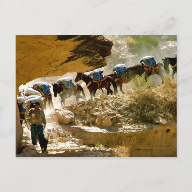 Cartão Postal Havasu Canyon Pack (Frente)