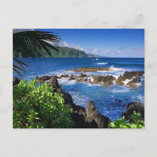 Cartão Postal Hawaii Beach Scenery