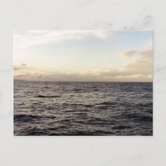 Cartão Postal Hawaii Blue (Frente)