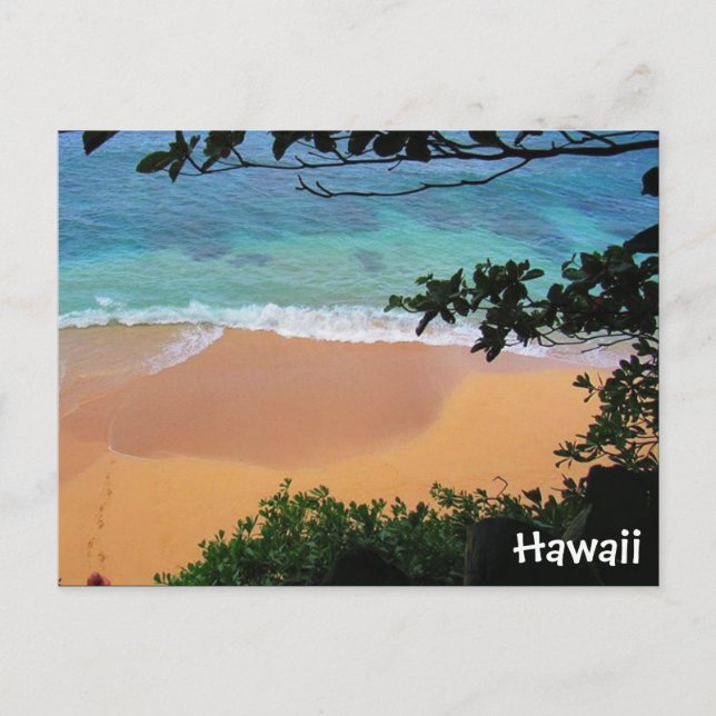 Cartão Postal hawaii do paraíso da praia (Frente)