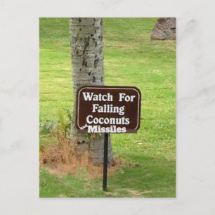 Cartão Postal Hawaii False Míssil de Aviso 2018