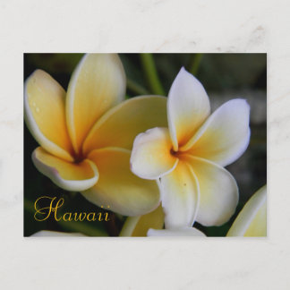 Cartão Postal Hawaii Flowers
