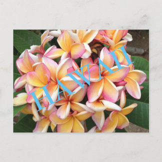 Cartão Postal Hawaii Flowers para todos