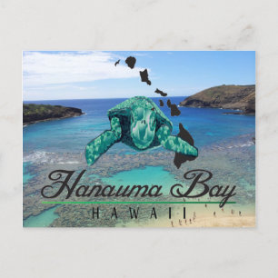 Cartão Postal Hawaii Hanauma Bay Turtle - Honu
