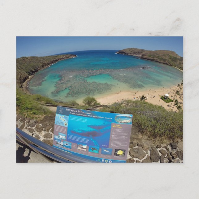 Cartão Postal Hawaii Hanauma Bay Volcano (Frente)