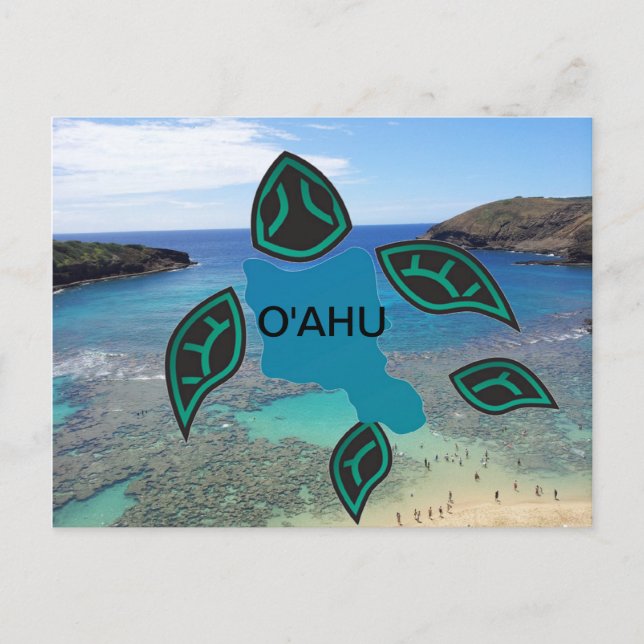 Cartão Postal Hawaii Oahu Island Turtle (Frente)