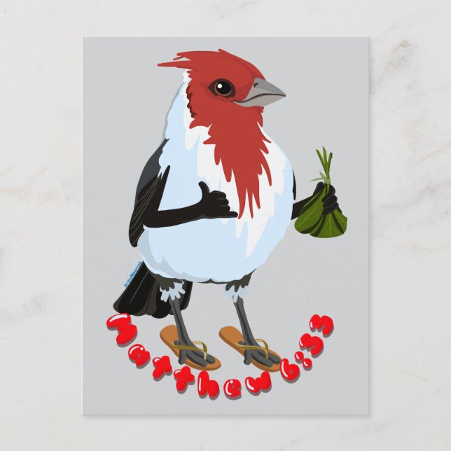 Cartão Postal HAWAII RED CRESTED CARDINAL—Bible verse (Frente)