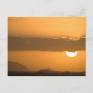 Cartão Postal Hawaii Sunset