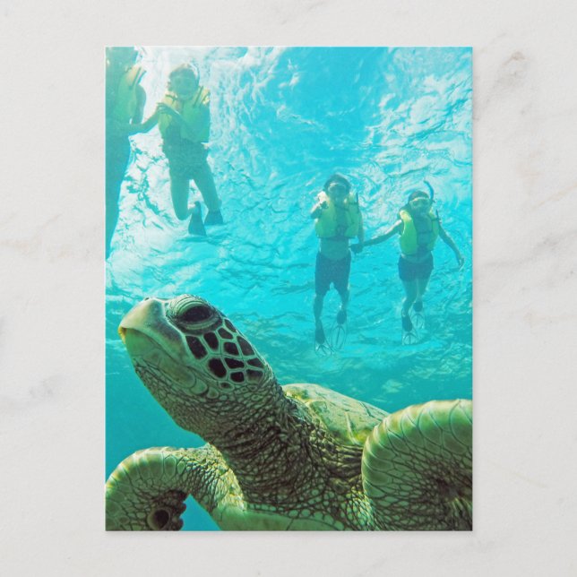 Cartão Postal Hawaii Turtle e Snorkelers (Frente)