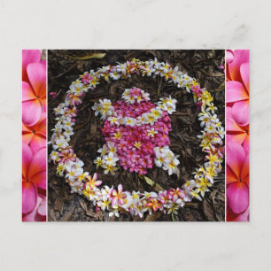 Cartão Postal Hawaii Turtle Honu Plumeria Summer Flower Paradise