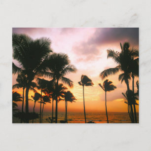 Cartão Postal Hawaiian Beach Palm Trees Sunset - Viagem Hawaii