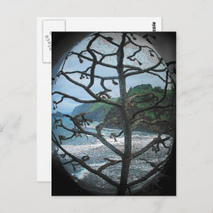 Cartão Postal Hawaiian Ocean Beach Tree Photo Spotlight