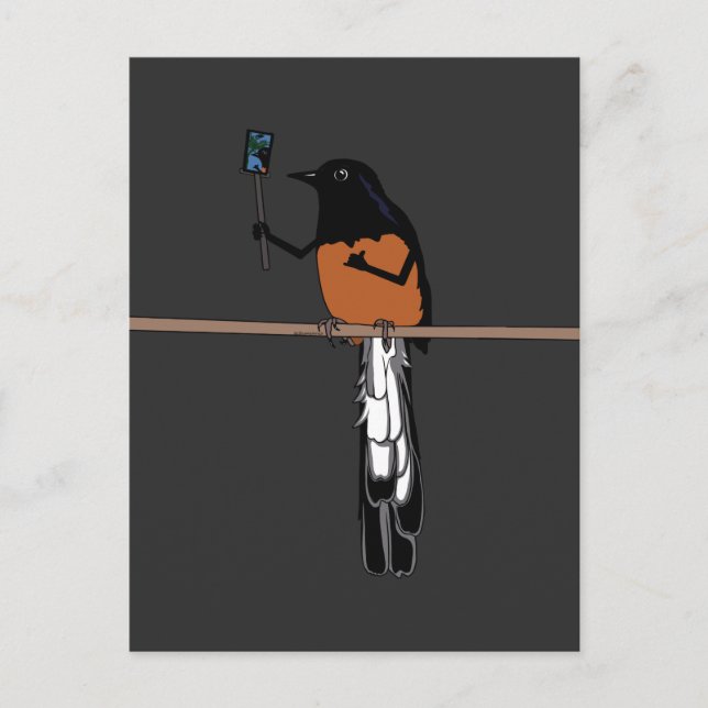 Cartão Postal Hawaiian Shama Bird Selfie (Frente)